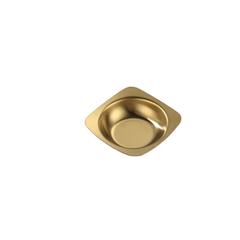 SS dish